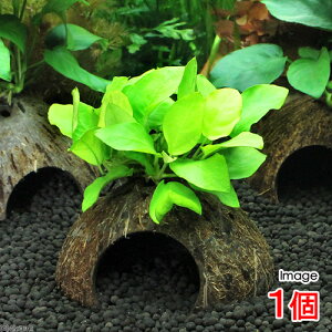 ijRRibcVF^[@AkrAXii@S[fitji1j