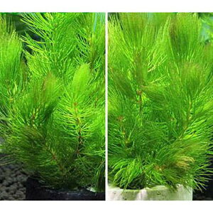 ijnjJVF^[@}c@~j@Zbgi_jie1j