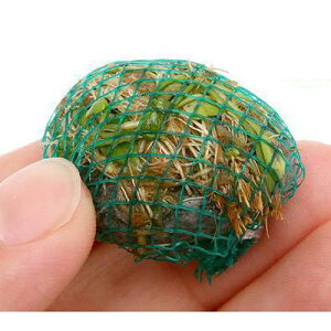 ijā@~bNX{[iwAV[{Ob\XeBO}jitji1j