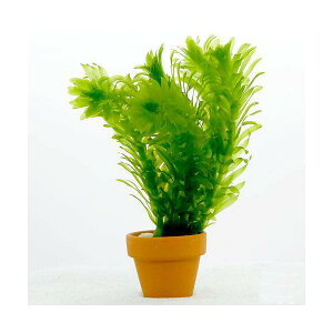 ij~jfĂ@_JE@Y@_AiJXi1j