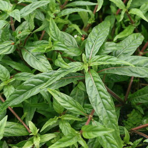 ijA}]nCO@}iEXYitji_ji20{j