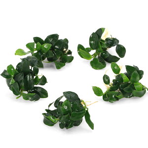 ij聚@AkrAXii@v`itji3j