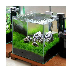 ijEB[X̑CAEgZbg@30cmL[upiER΂̂݁jitj@{Bl