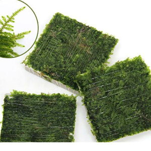 ijā@NX}XX@^Ci_ji3j