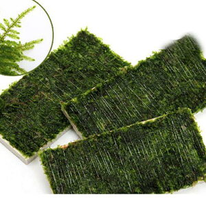 ijā@NX}XX@v[gi_ji1j