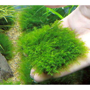 ij琬ρ@EH[^[tFU[@^Citji_ji3j