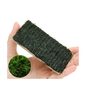 ijā@EH[^[tFU[@v[gitji_ji1j