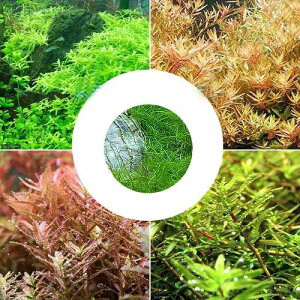 ij^~bNX4@20{{wA[OXV[gi1jitji_j