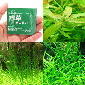 ij߂Ă̐@3i1pbNj{̑OɁ@1gi2Lpjt@{Bl