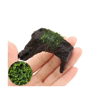 ijā@XspDY@Jbg؁@~jTCYi_ji8cmȉji1{j