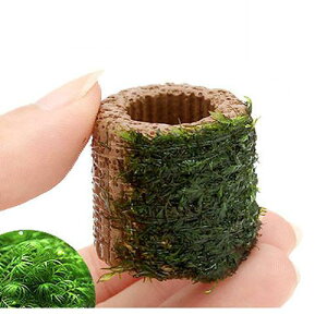 ijā@Ct}`ijEH[^[tFU[itji_ji5j