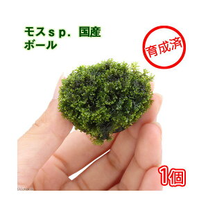 ij琬ρ@XspDiYj{[i_ji1j