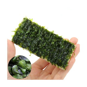 �i�����j�������ā@���X�t�@���@�v���[�g�i1�j