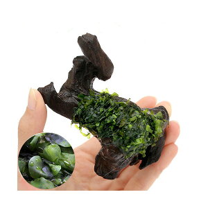 ijā@Xt@t@؁@STCYi15cmji_ji1{j