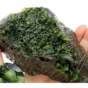 ijā@Xt@t@R΁@MTCYi14cmji_ji1j