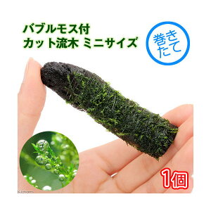 ijā@ouX@؁@~jTCYi8cmȉjitji_ji1{j