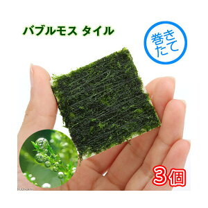 ijā@ouX@^Citji_ji3j