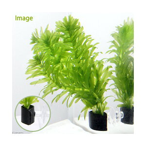 ij_JE@Y@_AiJX@with@AJi_ji1j