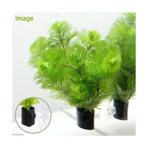 ij_JE@J{o@with@AJi1j