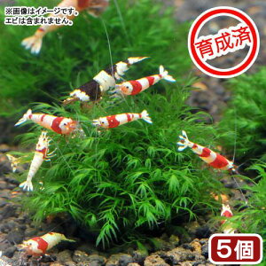 ij琬ρ@EH[^[tFU[{[i_ji5j
