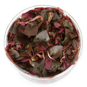 ijgD|{@Aeie@CL[@UGtHAi_ji1Jbvj@kCEBq֗vۉ