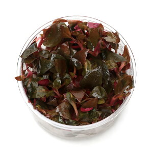 ijgD|{@Aeie@CL[@~ji_ji1Jbvj@kCEBq֗vۉ