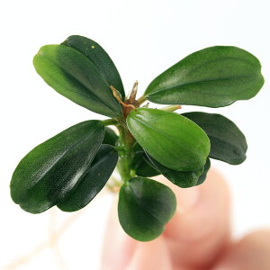 ijuZt@hspDAbv[tiցjitji1j@kCEBq֗vۉ