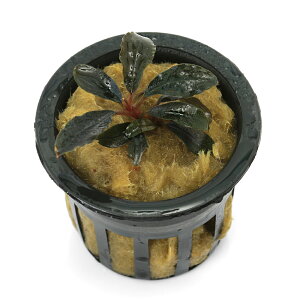 ijuZt@hspDbh~jiցjitji1|bgj@kCEBq֗vۉ