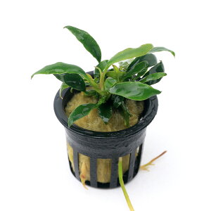 ijAkrAX@`~jitji1|bgj