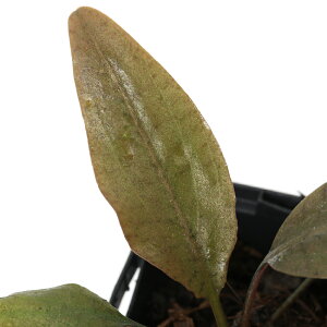 ijNvgRlspD~}[Yitji1|bgj@kCEBq֗vۉ