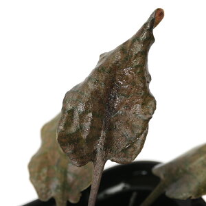 ijNvgRlspDLepar@PongokYitji1|bgj@kCEBq֗vۉ