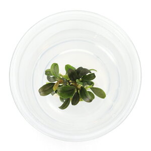 ijgD|{@uZt@hspDN_K@~j@Eh@~jJbvi_ji1Jbvj@kCEBq֗vۉ