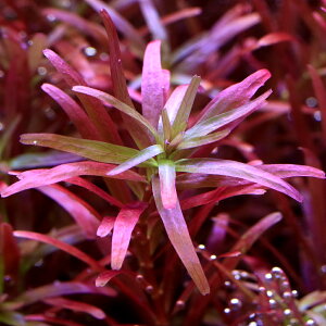 ij^@gfBtHA@ubhbhitji_ji10{j@kCEBq֗vۉ