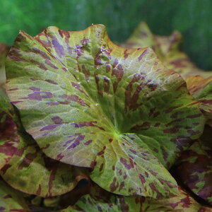 ij}_KXJUCN[^X@A^jtHV[Yitji_ji1j