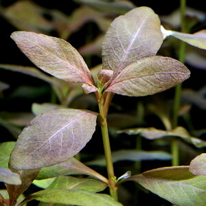 ijnCOtBspD^C@oRNYitji_ji10{j