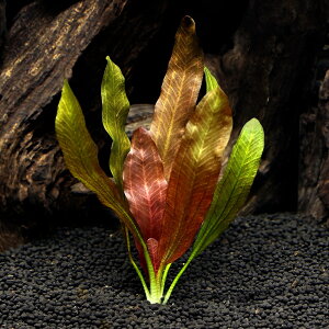 ijGLmhX@bhJI@ifi[ցjitji_ji1j