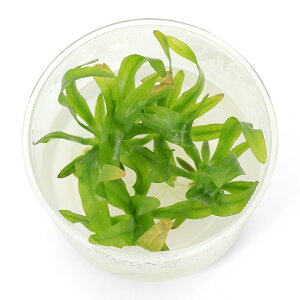 ijgD|{@GLmhX@EOACGVXi_ji1Jbvj@kCEBq֗vۉ