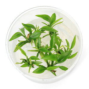 ijgD|{@Qih@XCeV[i_ji1Jbvj@kCEBq֗vۉ