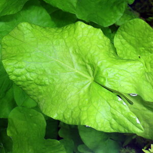 ijjt@@OfBtBitji_ji1j