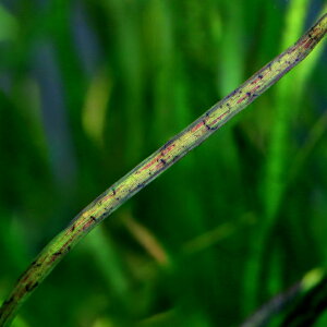 ijoXlAspD@goN[NYitji_ji3j