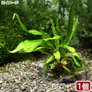 ij̐i@R΁@verD~N\Ei1j