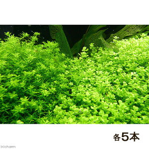 ij[Wp[OXitji_ji5{j{p[OXitji_ji5{j