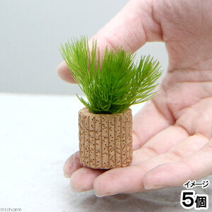 ijCt}`ij}c@v`i_ji5j_J@@򉻁@Y