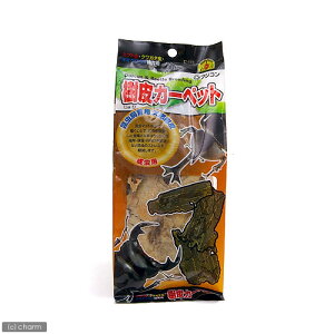 �t�W�R���@����J�[�y�b�g�@�����@�J�u�g���V�@�N���K�^�@���C�A�E�g�p�i�@����@�B��Ɓ@�]�|�h�~�@�֓�������