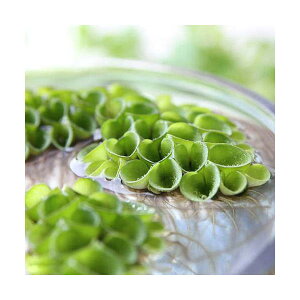 irIg[vjA@TrjA@NN[^i_ji10j