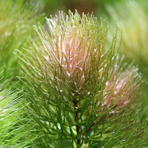 ij}ciĎYbh^Cvjitji8{j