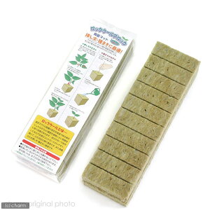 ���b�N�E�[���@�|�b�g�u���b�N100�@60P�@�֓�������