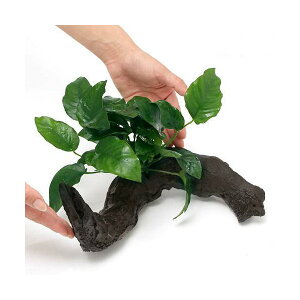 ijAkrAX@oe[@ii@ؕt@LTCYi1{ji25cmj