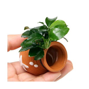 ij̉BƁ@^Rc{~j~j@AkrAXii@v`itji1j