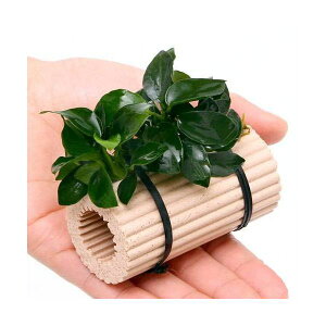 ij[W}`O@AkrAXii@v`itji1j